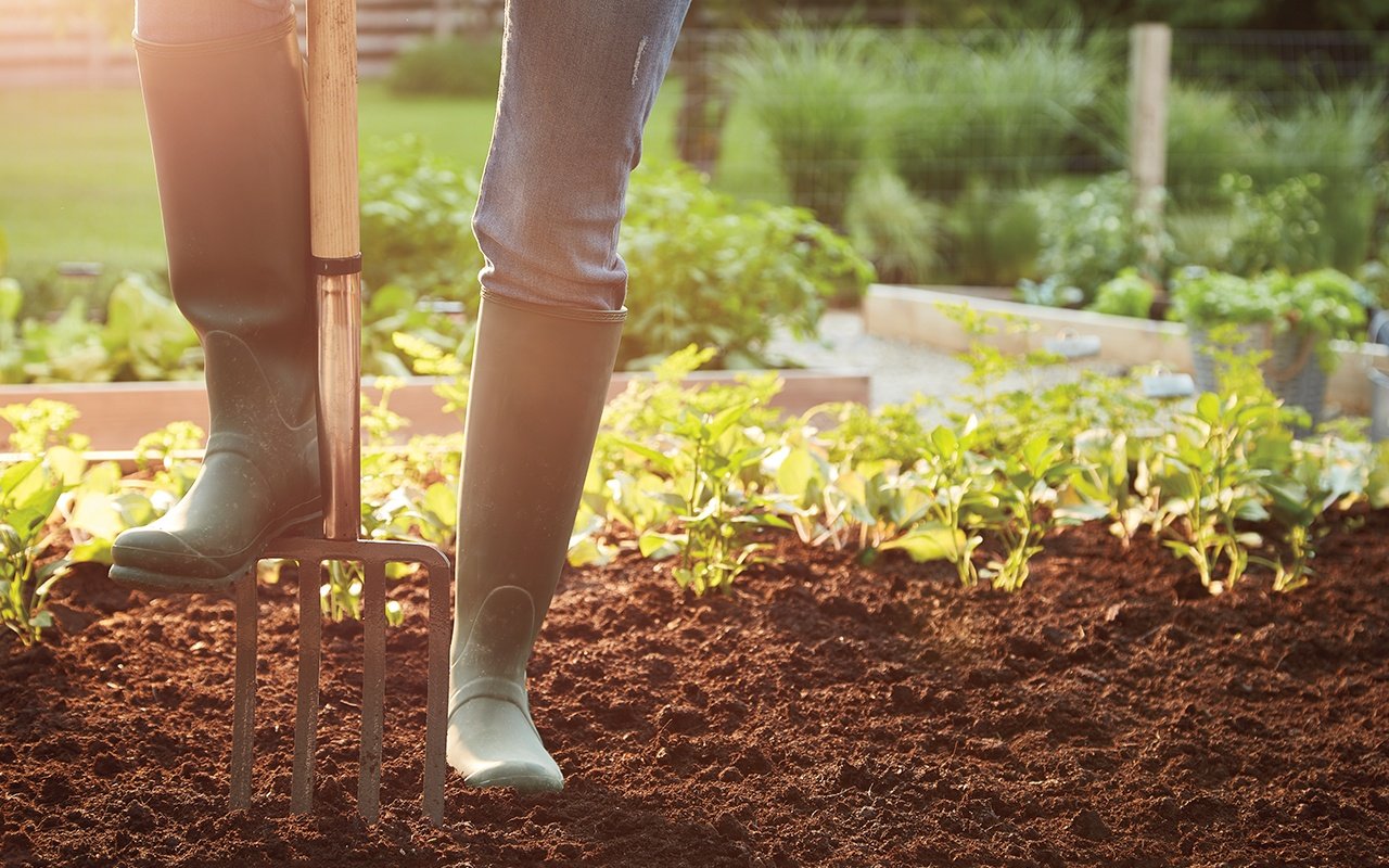 woman-gardening-boots-on-pitchfork-in-dirt